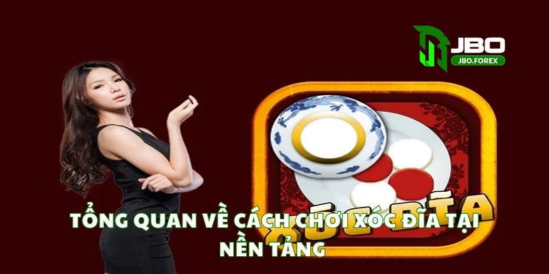 Tổng quan về cách chơi xóc đĩa tại nền tảng