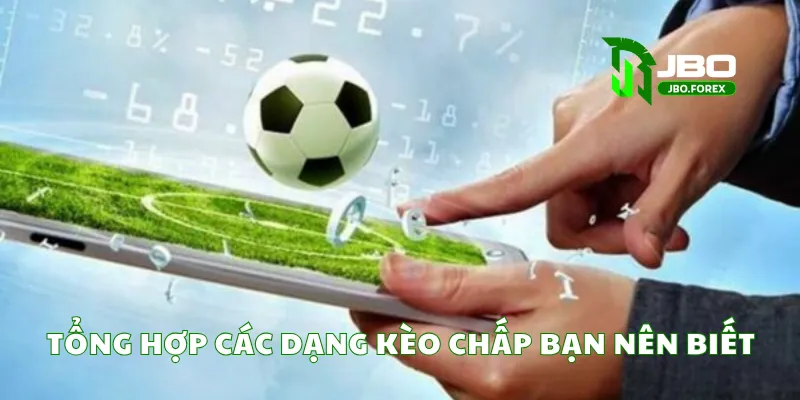 Tổng hợp các dạng kèo chấp bạn nên biết Tổng hợp các dạng kèo chấp bạn nên biết